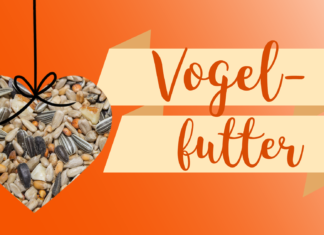 Für mehr Piepmatze! Vogelfutter – Anhänger